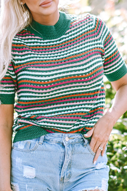 Dark Green Striped Pattern Contrast Trim Pointelle Knit T Shirt